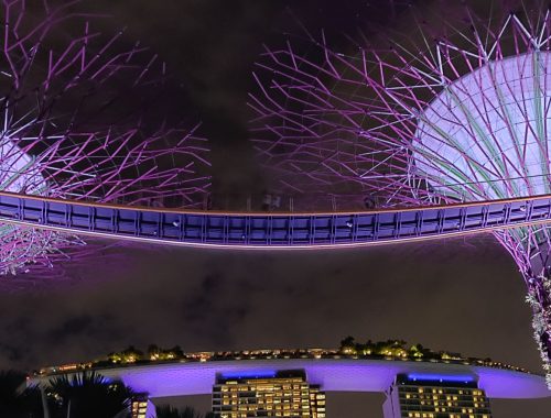 Supertrees im Gardens by the Bay bei Nacht