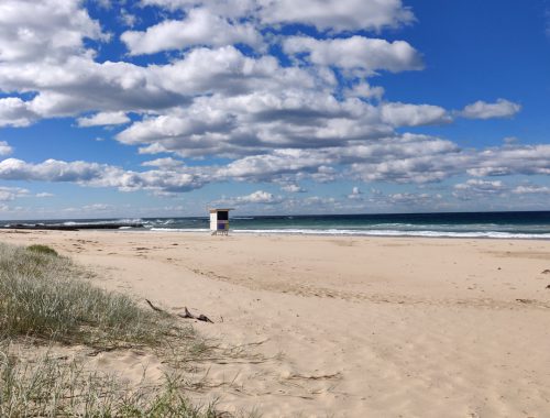 Strand in Bulli Australien